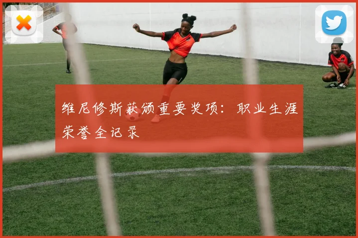 维尼修斯获颁重要奖项：职业生涯荣誉全记录