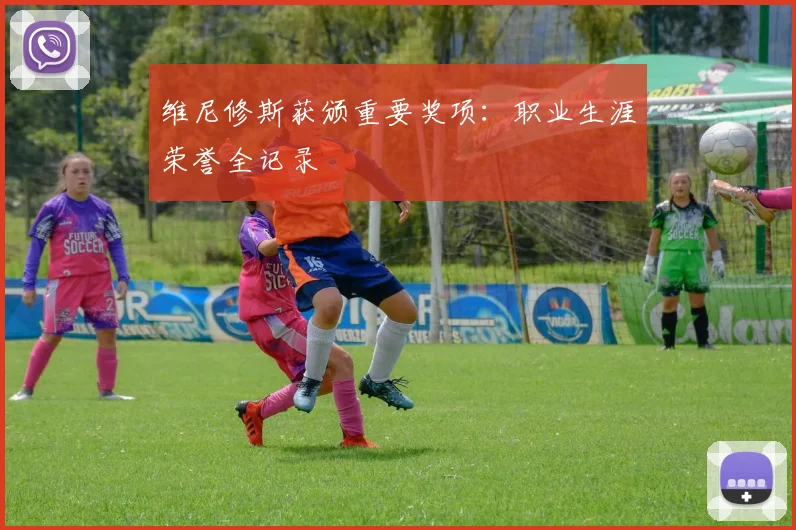 维尼修斯获颁重要奖项：职业生涯荣誉全记录