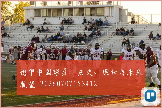 德甲中国球员：历史、现状与未来展望_20260707153412